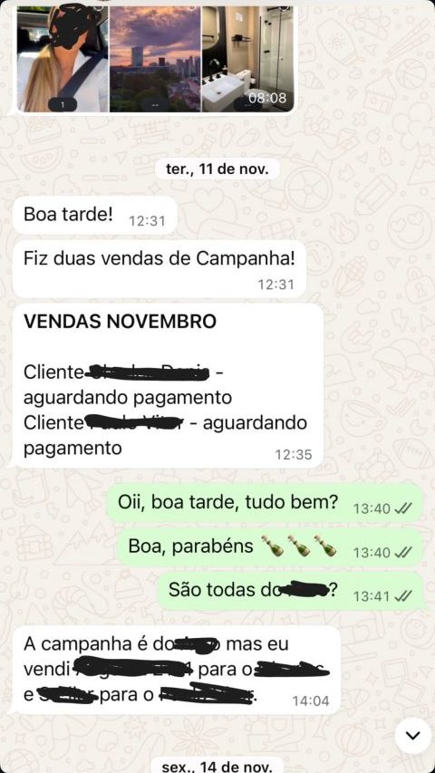 Conversa no WhatsApp: cliente relata duas vendas dos anúncios em novembro.